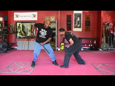 Cane Combat 2: What everyone needs to know to protect themselves.