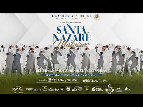 LOTE 48