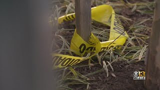 Police Investigating Shooting Death Of Towson Student