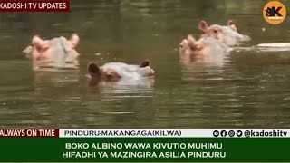 TAZAMA HII BINADAMU ALIEBADILIKA NA KUWA KIBOKO