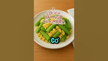 7 Lợi Ích Bất Ngờ Của Mướp - Mà Bạn Nên Biết Ngay!