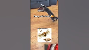 Interactive Flying Bird Cat Toy | Link in channel description