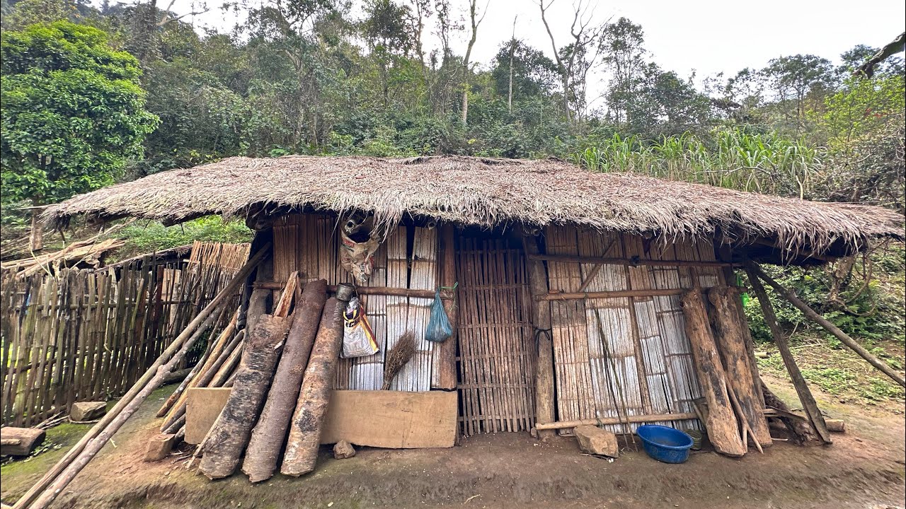 Bất Ngờ Gặp Bà Cụ 80 Tuổi Sống Một Mình,Ngôi Nhà Mái Cỏ Tranh Như Thời Nguyên Thuỷ.