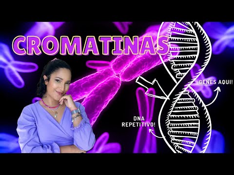 Vídeo: O que é heterocromatina versus eucromatina?