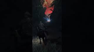 First Time In Caelid