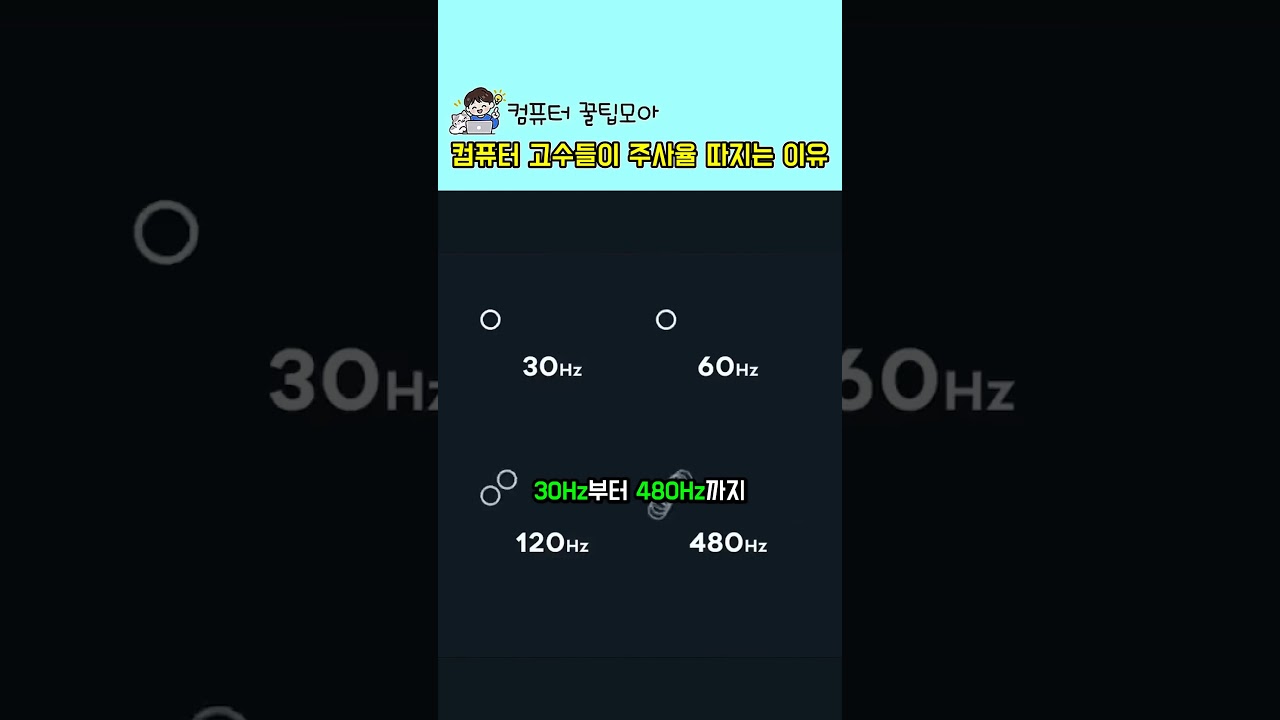 컴퓨터 고수들이 주사율 따지는 이유