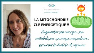 LA MITOCHONDRIE, CLÉ ÉNERGÉTIQUE ! (fatigue, poids, moral...)