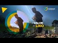 Caminhos da Reportagem | O Valor do Lixo