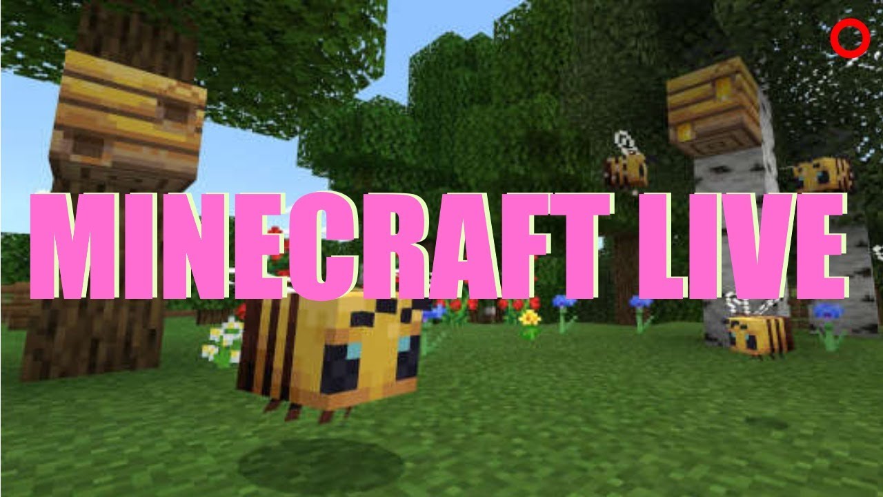 Minecraft Multiplayer Survival Live - YouTube