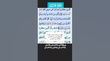 سورة محمد الايه 1-2 فارس عباد