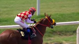 Vidéo de la course PMU PRIX LADY FOREVER (2010)