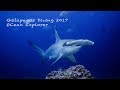 Galapagos Diving 2017 by Tawan Buasuwan (UHD,4K)