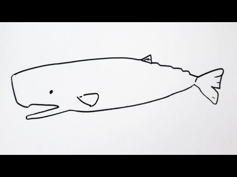 簡単 マッコウクジラの描き方 イラスト お絵描き Easy How To Draw Sperm Whale Illustration Draw Youtube