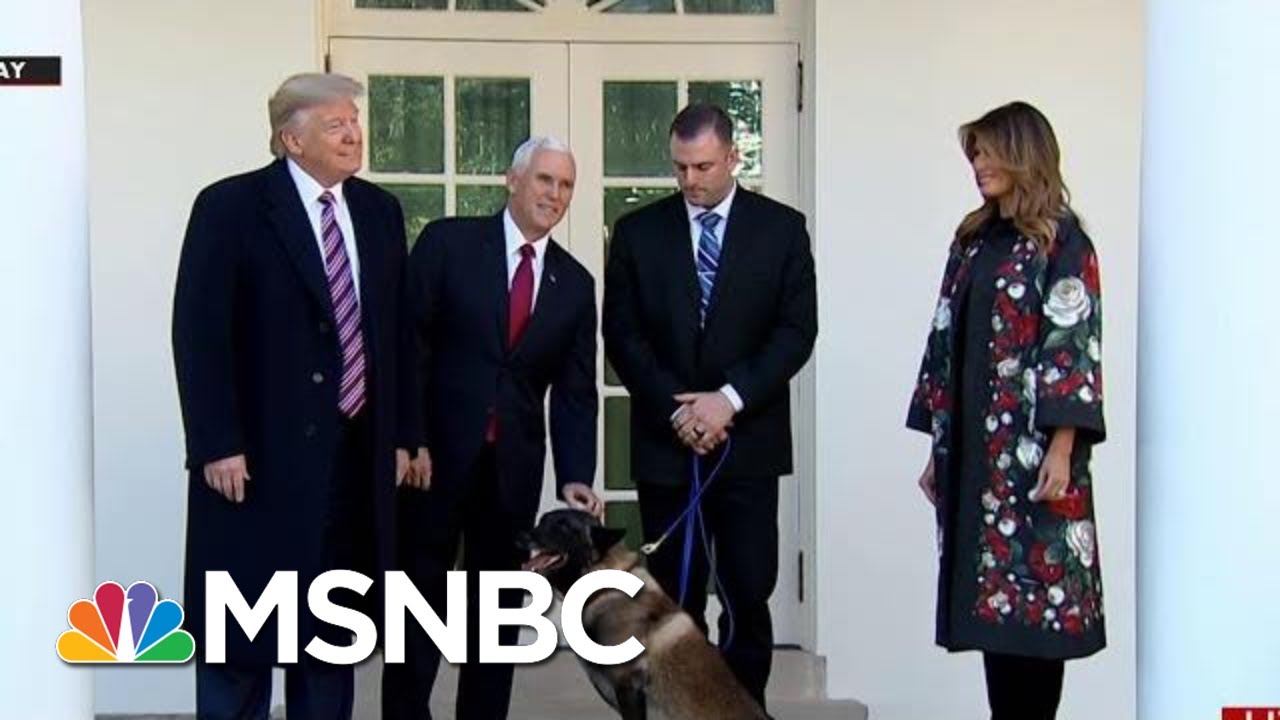White House: Conan Is A Good...Dog? | All In | MSNBC