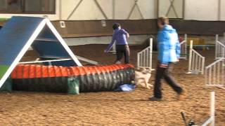 Ssgh Bockenheim A3 Gianna