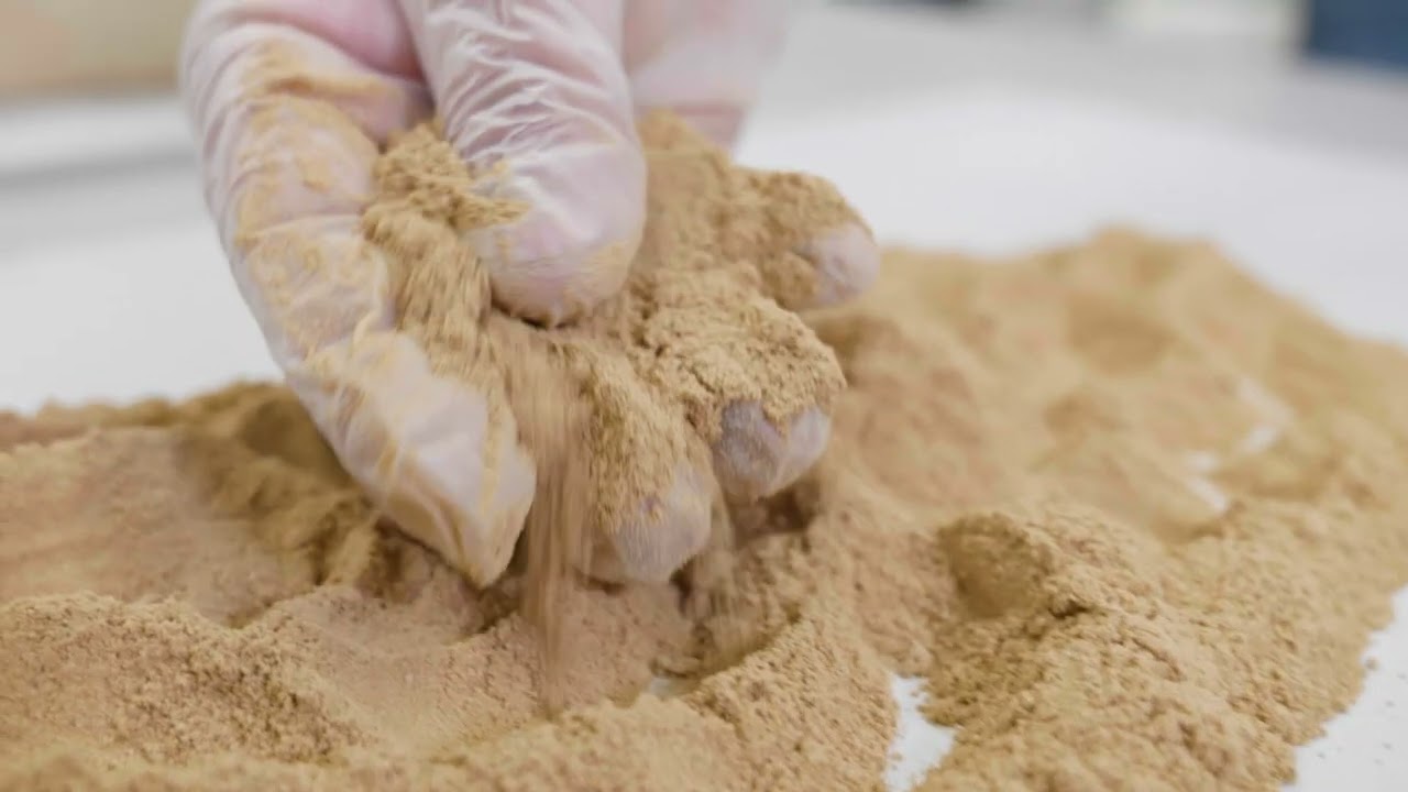 Lancement de la saison 2023/24 - Rue de la Boulette - Producteurs de Hash CBD français