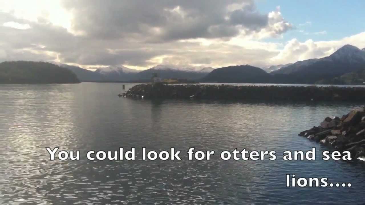 Kodiak Promo By Erin and Jim YouTube