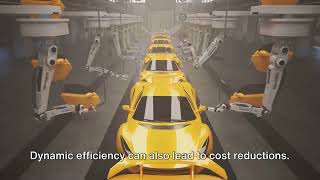 Dynamic Efficiency in Economics Wealth