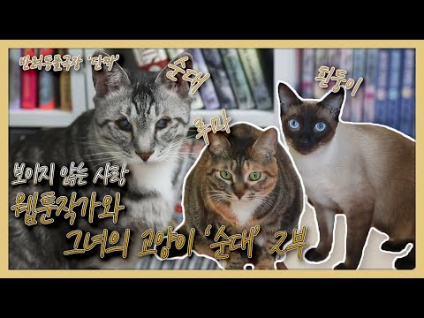 [반려동물극장 단짝] 보이지 않는 사랑, 웹툰작가와 그녀의 고양이 &amp;#39;순대&amp;#39; 2부 KBS 150303 방송