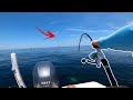 Offshore Fishing in the 17 ft Scout (NEW Species for the Channel)