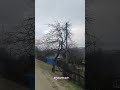 5 лютого 2025 р 5 лютого 2025 р