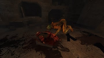 RealRTCW 2.2 Playthrough Part 5 (Catacombs)