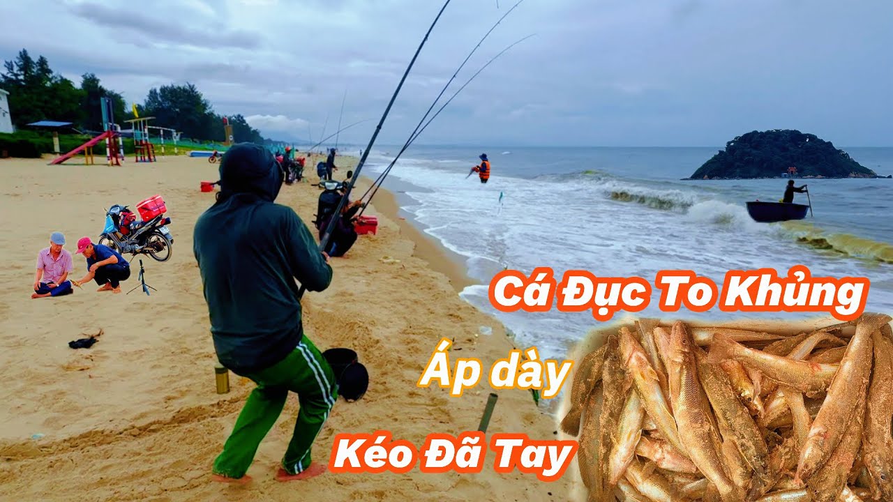 Câu Cá Bống Đục To Kinh Khủng | Cá Ép Dày Câu Liên Tục Một Ngày Sướng Cái Tay!@Longvlog86