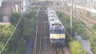【鶴見線E131系初の配給】JR東日本 EF64 1032号機+E131系1000番台都ナハT1編成 配9645レ 国府津行 品鶴線跨線橋通過！[2023.10.05(木)]