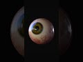 Procedural eye in blender3d #blender3d