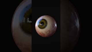 Procedural eye in blender3d #blender3d