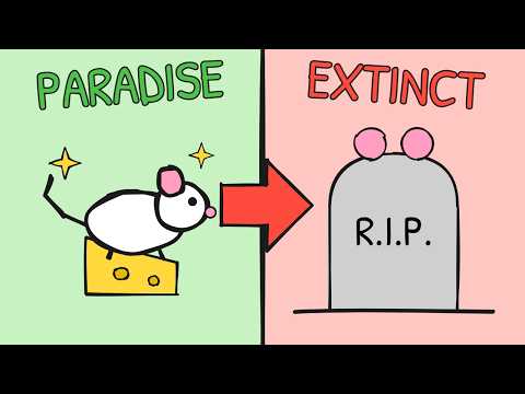 2200 Mice Had Everything. Then They All Died — The Universe 25 Experiment