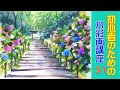 【初心者のための透明水彩31】紫陽花/風景/水彩