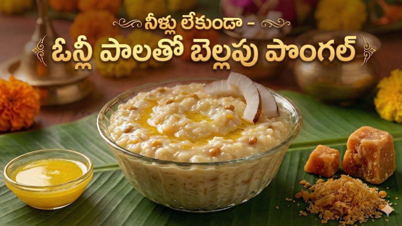 Bellam Pongal Recipe with Milk & Ghee in Telugu | Traditional Sweet Pongal Step by Step