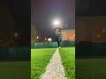 14 ноября 2025 г.