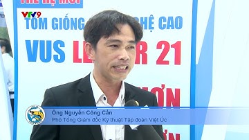 Giải pháp nâng cao chất lượng Tôm Giống