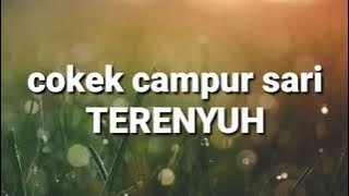 cokek campur sari(TERENYUH)