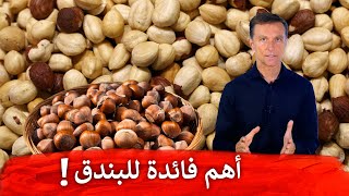 ماهي أهم فائدة للبندق!