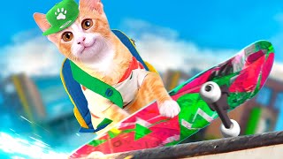 ADVENTURES IN KITTEN SCHOOL by Cats and other pets 510,034 views 4 years ago 3 minutes, 45 seconds