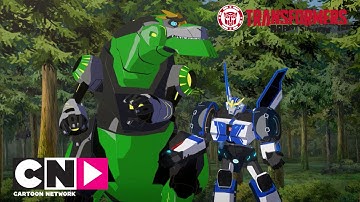 Dinosaur Running Free | Transformers Robots in Disguise | Cartoon Network