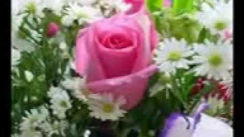 اية إن الذين يتلون كتاب الله سورة فاطر الشيخ عبد الفتاح الطاروطى