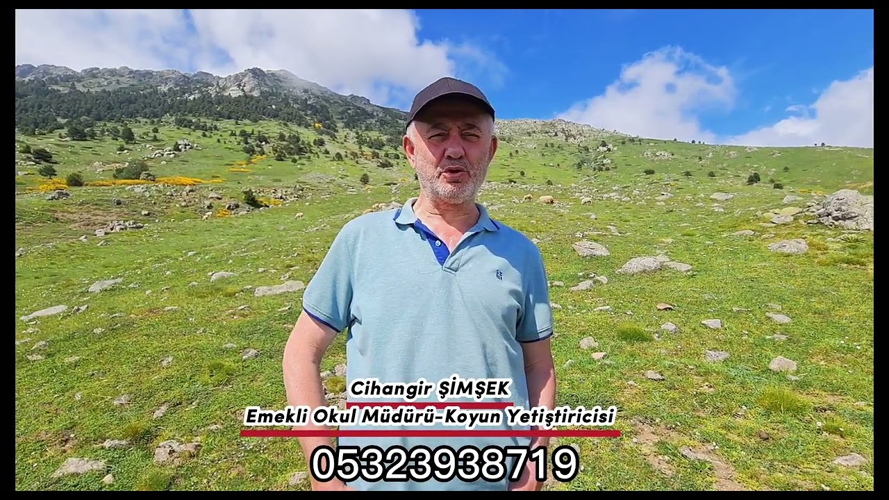 Bir başarı hikayesi : Bafra Koyunculuğu : Cihangir Şimşek