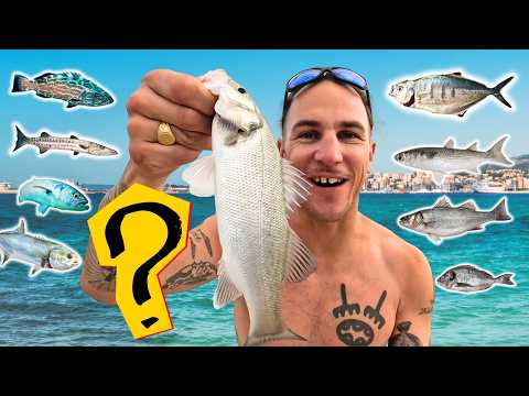 Endless Fish! Mallorca Fishing Species Challenge