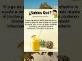 El Poderoso Jugo De Piña #shorts