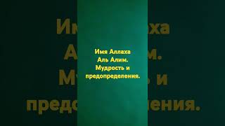 Аль Алим. Мудрость и предопределения.
