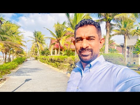 Falling in Love with Sandy Beach | A Love Story to a Place