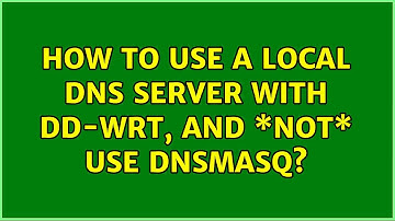 How to use a local DNS server with dd-wrt, and \*not\* use DNSMasq?