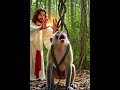 little monkey asks Jesus for help, and the paren