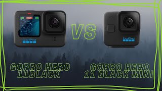 GoPro Hero 11 Black vs. Gopro Hero 11 Black Mini for FPV