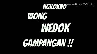 Story wa cangkemmu