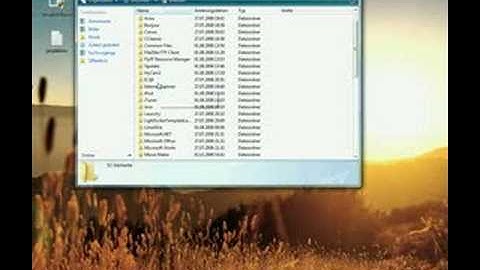 Problem with FlyFF Integrity Bypass (FIB)